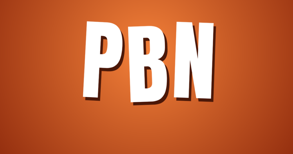 Private Blog Network: 7 Figure PBN Seller Reveals The Truth 